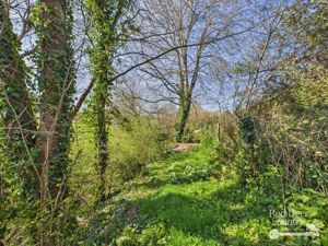 Garden- click for photo gallery